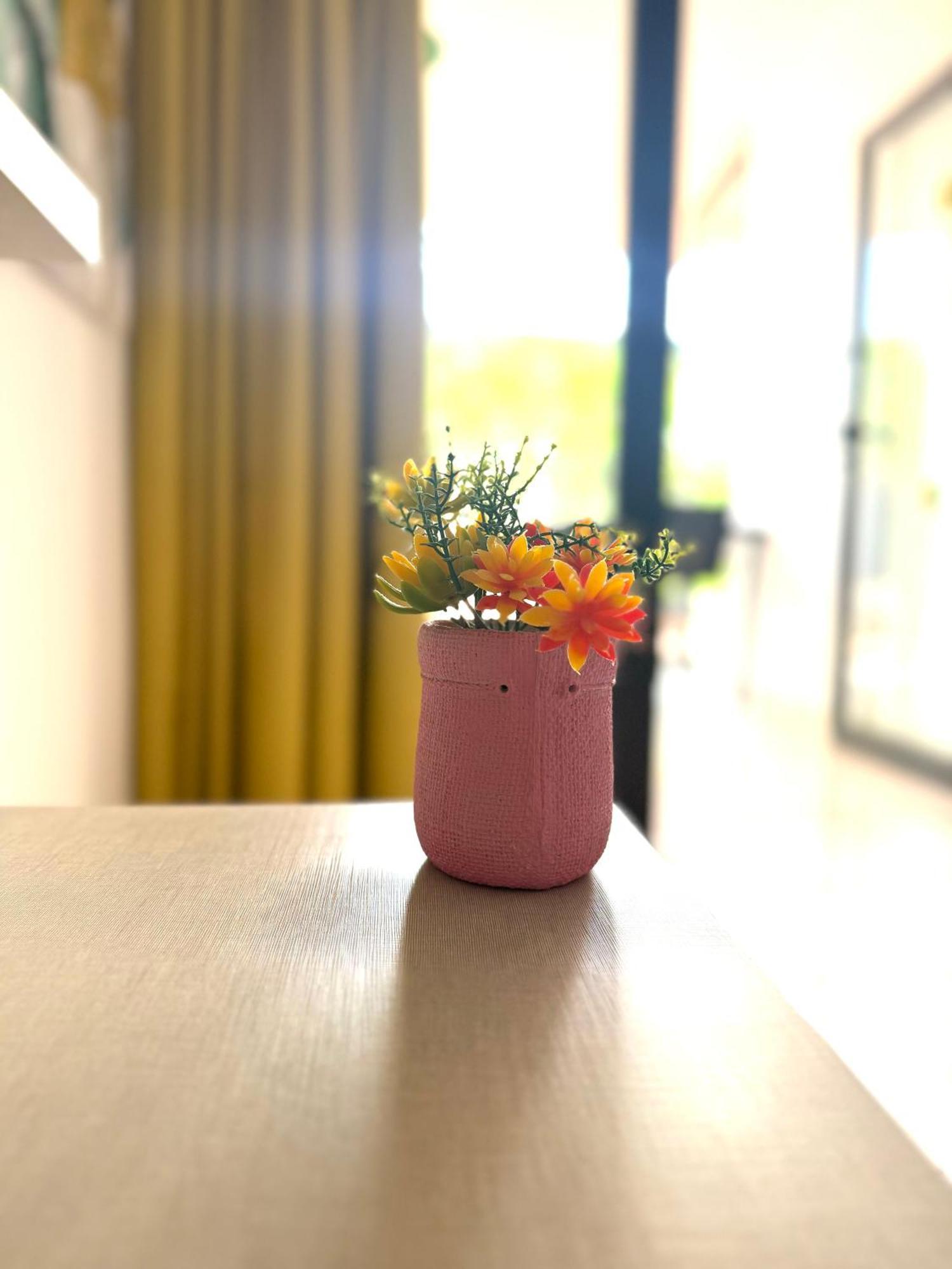 פלאייה דל אינגלז Guinea Apartment מראה חיצוני תמונה